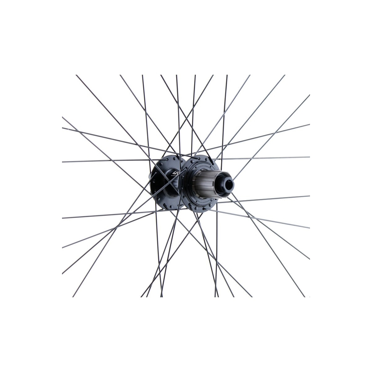 Roue arrière 29" VTT/VAE, double paroi, noire, disque, 12 x 142