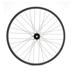 Roue avant 29" VTT/VAE, double paroi, noire, disque, 15 x 110