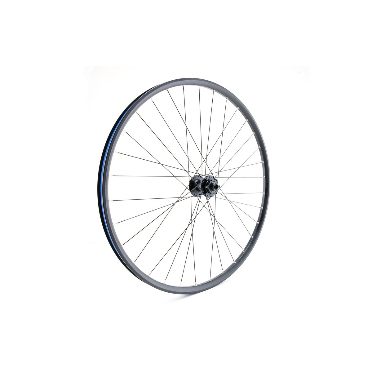 Roue avant 29" VTT/VAE, double paroi, noire, disque, 15 x 110
