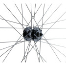 Roue avant 29" VTT/VAE, double paroi, noire, disque, 15 x 110