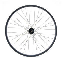 Roue arrière 29" VTT/VAE, double paroi, noire, disque, 12 x 148