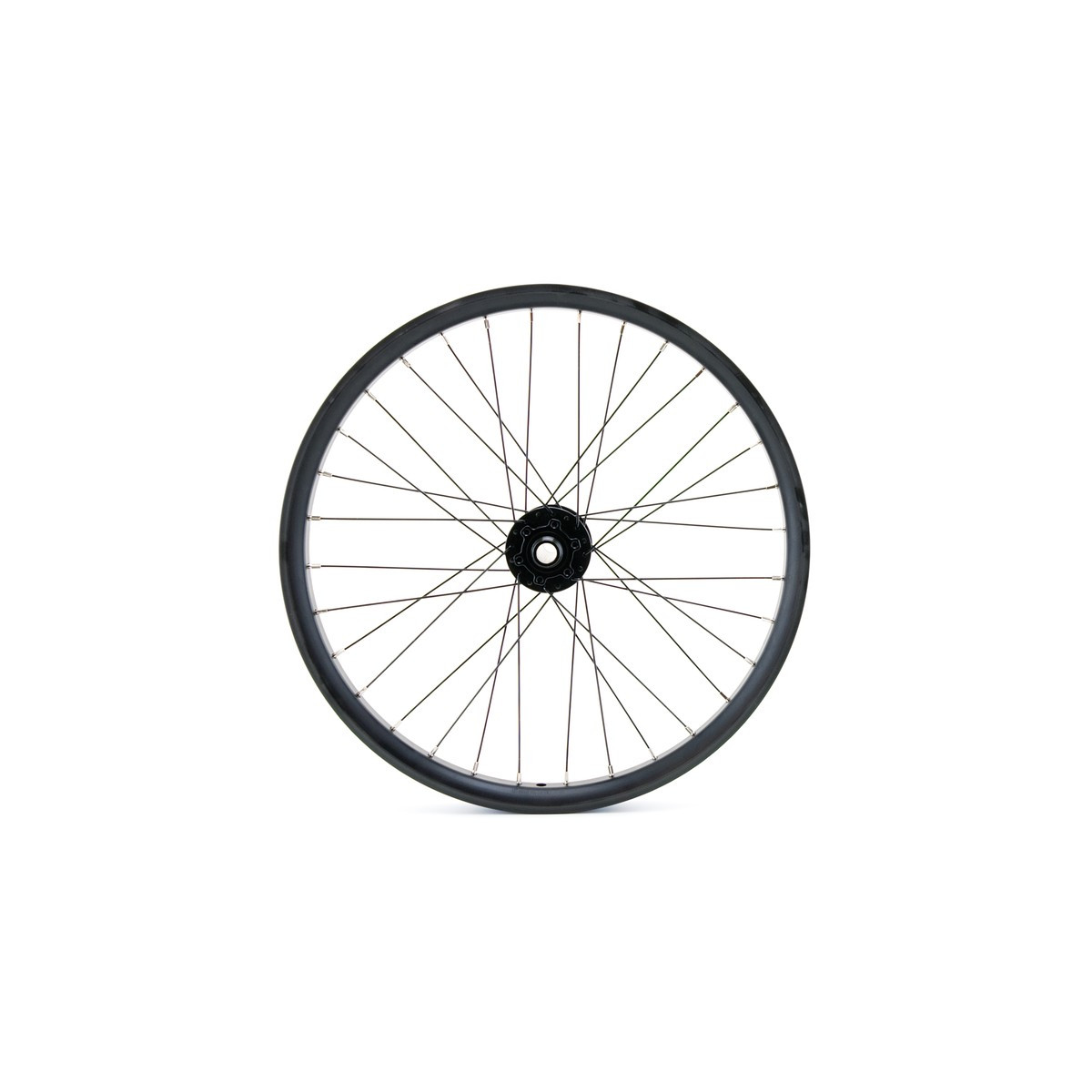 Roue avant 20" CARGO/VAE, double paroi, noire, disque, 15 x 100