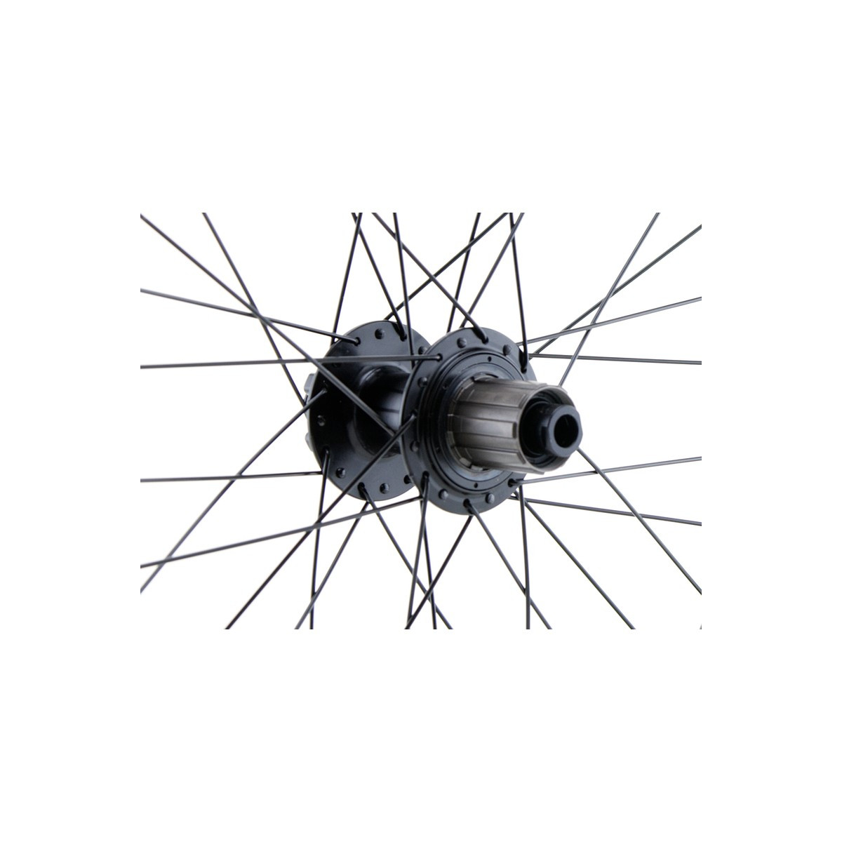 Roue arrière 20" CARGO/VAE, double paroi, noire, disque, 12 x 148