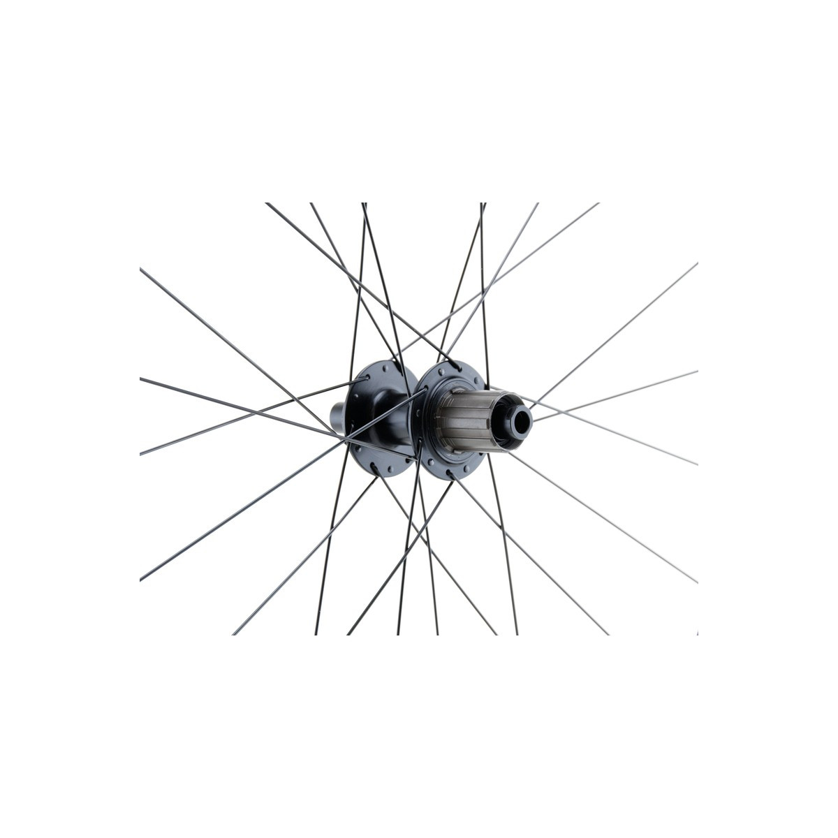 Roue arrière 700C GRAVEL, double paroi, noire, disque CL, 12 x 142