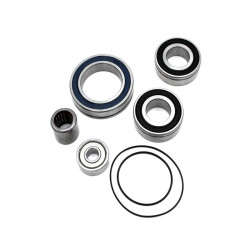 Service kit BLACKBEARING pour moteurs Panasonic 36V