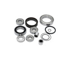 Service kit BLACKBEARING pour moteurs Bosh Gen 4